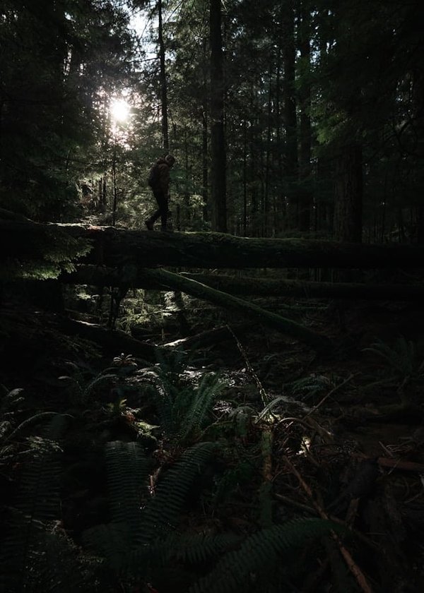 Quels conseils pour une randonnée réussie sur le sentier du Mont Blanc ?
