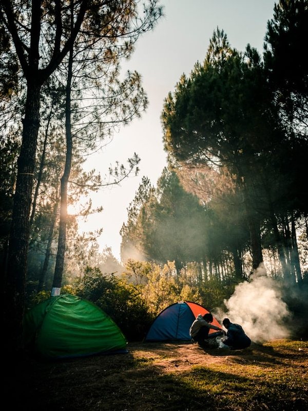 Comment préparer un voyage de camping dans les parcs nationaux de Tanzanie ?